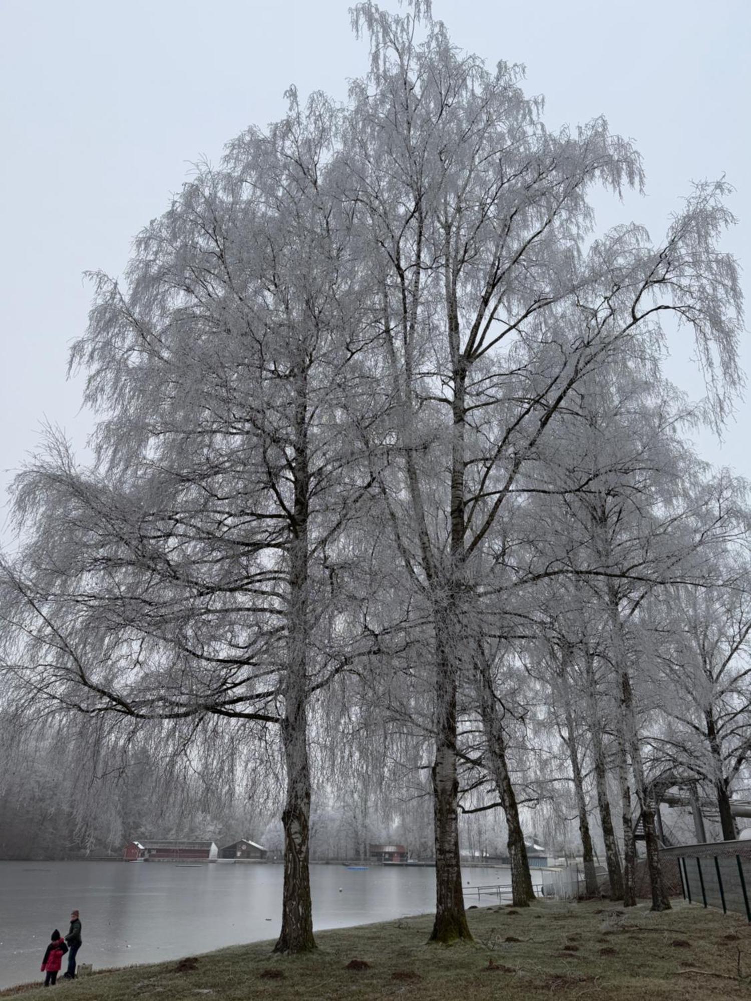 Waldseechalet Julius - Wemding Luaran gambar